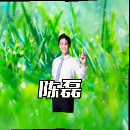 陈磊