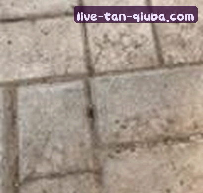 小赵